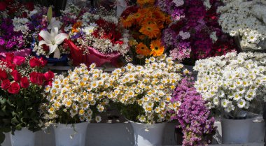 Vazodaki bir çiçekte çeşitli türde güzel çiçekler.