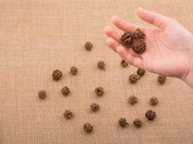 El ele tutuşan kapsül ya da kapsül tuval arka planında