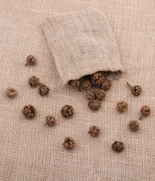 stock image Plant pods, capsules out of sack on a canvas