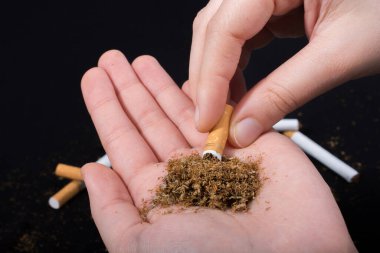 Tütünü bir sigara konsepti olarak elinizde kesin.