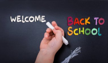 Eğitim kavramı olarak okula dönüş