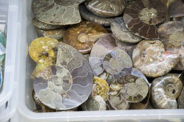Belli bir tipte doğal mineral değerli taşlar.