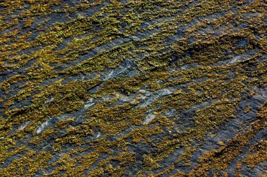 Arka plan dokusu olarak doğal kaya veya taş yüzeyi