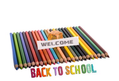 Eğitim kavramı olarak okula dönüş