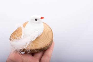 Fake bird on a wood wood Log cut in round thin pieces on a white background