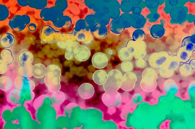 Bakteri hücresinin şekli: cocci, bacilli, spirilla bakteri arka planı