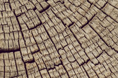 Arkaplan olarak doğal desenli ahşap doku