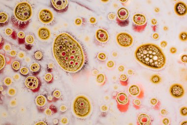 Su tabanında hava kabarcıkları oluşur.