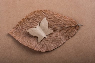 Sonbahar veya sonbahar kompozisyonu veya konsept ve sözcük sonbaharı