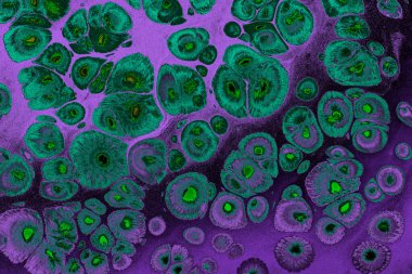 Kumaş için soyut yaratıcı mermer desen. Yazdırma için Ebru mermer efekt yüzey deseni tasarımı