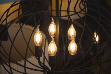 Dekoratif stil filament ampulleri görünürde