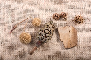 Arkaplanda modül, koni veya kapsül