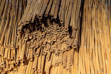 Bambu büyük miktarlarda yığınları sopa