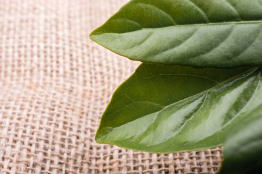 Keten brandaya yerleştirilmiş yeşil yapraklar