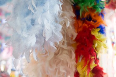 Dekoratif amaçlar için güzel kuş tüyleri