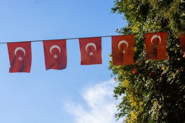 Gökyüzünde beyaz yıldız ve ay olan Türk ulusal bayrakları