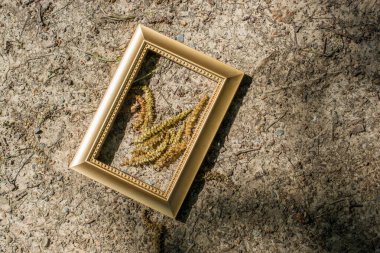 Arkaplanda boş ahşap resim çerçevesi