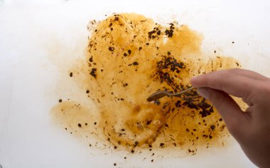 Kahve sıcak suda yavaşça erir.