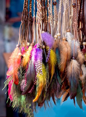 Dekoratif amaçlar için güzel kuş tüyleri