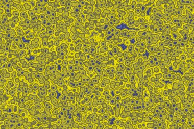 Bakteri hücresinin şekli: cocci, bacilli, spirilla bakteri arka planı