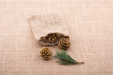 Çam kozalakları çuvala tuval arka plan üzerinde dışarı