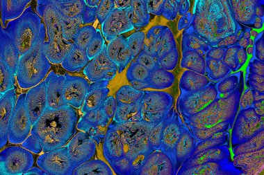 Ebru mermer el yapımı sanat, geleneksel Ebru tekniği. mermer sıvı mürekkep sanatının soyut arkaplanı