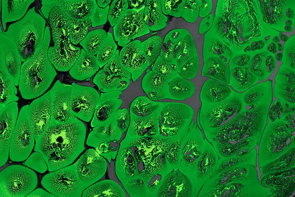 Ebru mermer el yapımı sanat, geleneksel Ebru tekniği. mermer sıvı mürekkep sanatının soyut arkaplanı