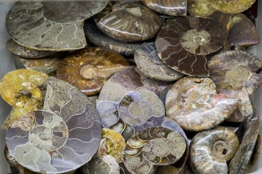 Belli bir tipte doğal mineral değerli taşlar.