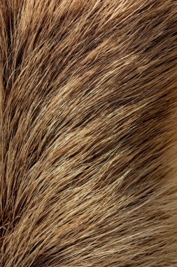 Arka plan dokusu olarak dekoratif hayvan kürkü