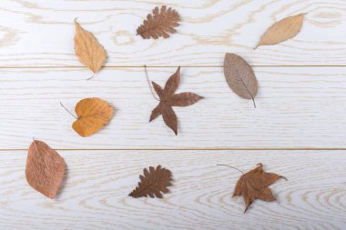 Kuru sonbahar yaprakları bir ahşap panel doku üzerinde yer