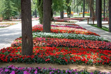 Bahçedeki bir ağaç gövdesine yakın.