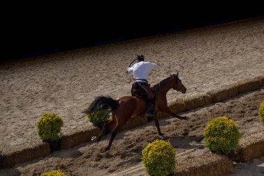 Osmanlı okçusu ata biner ve at sırtında ateş eder.