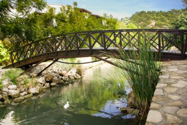 Baharda derede küçük ahşap köprü
