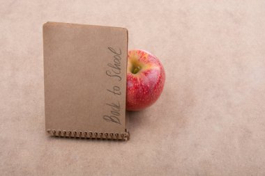 Okula geri döndüm ve elimde bir defter vardı.