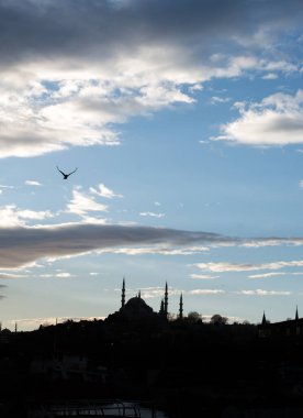 İstanbul 'daki Osmanlı tarzı caminin dış görünüşü