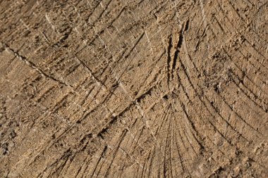 Arkaplan olarak doğal desenli ahşap doku