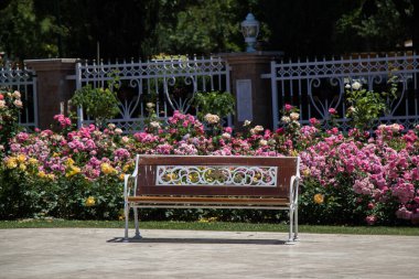 Gül bahçesinin ortasında tahta bir bank bulundu.