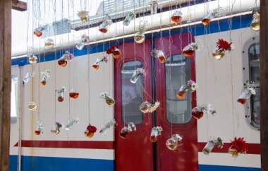 İplere asılı çiçekli bitkisel çay şişeleri