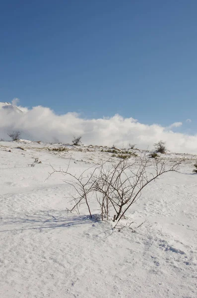 Abruzzo Nationaal Park Majella San Leonardo Pass Winter Uitzicht Met — Stockfoto