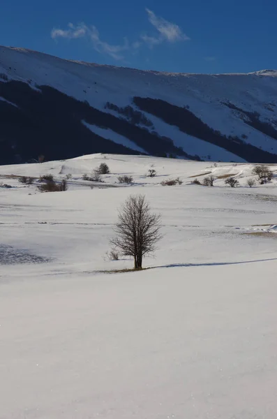 Abruzzo Maiella Plateau Vista Panorâmica Com Paisagem Nevada — Fotografia de Stock