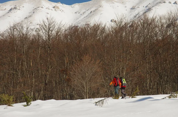 Trekking Schnee Ein Erlebnis Engem Kontakt Mit Der Natur Leben — Stockfoto