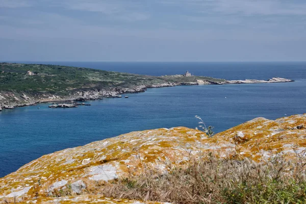 Blick Auf Die Insel Capraia Von Der Insel San Nicola — Stockfoto