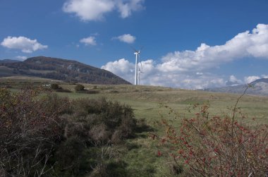 Capracotta - Molise - Sonbaharda vadi manzarası, ön planda gül kalçası bitkileri