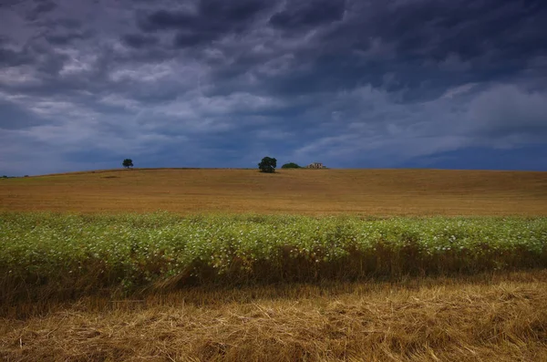The Molise countryside in summer with fields of wheat already harvested