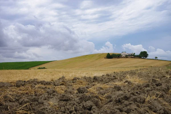 Freshly harvested wheat field in the Molise countryside, in the foreground the clods of the freshly plowed field and in the background a cottage