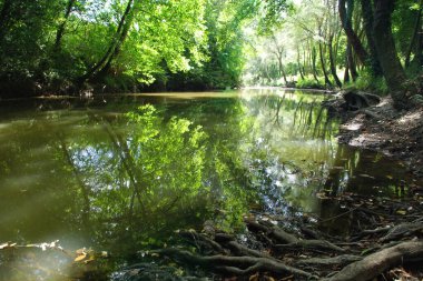 Campolattaro - Benevento - Campania - The protected natural oasis of the Tammaro river