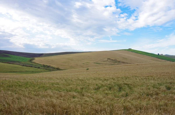 Сельская Местность Молизе После Уборки Пшеницы Конце Весны — стоковое фото