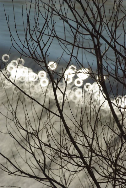 Güçlü Bir Telefoto Katadioptrik Mercekle Belirli Işık Noktaları Odak Dışı — Stok fotoğraf