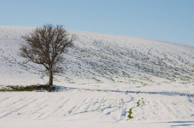 Molise sahilinin iç kesimlerinde kışın kar yağışı sonrası kırsal kesimde