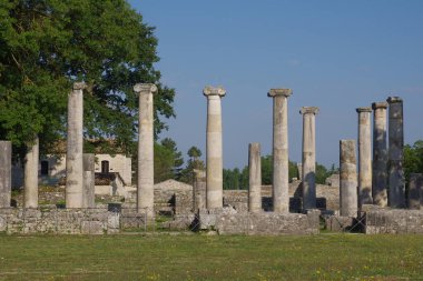 Altilia arkeolojik alanı: Bazilika 'nın bir zamanlar nerede durduğunu gösteren sütunların kalıntıları. Sepino, Molise, İtalya
